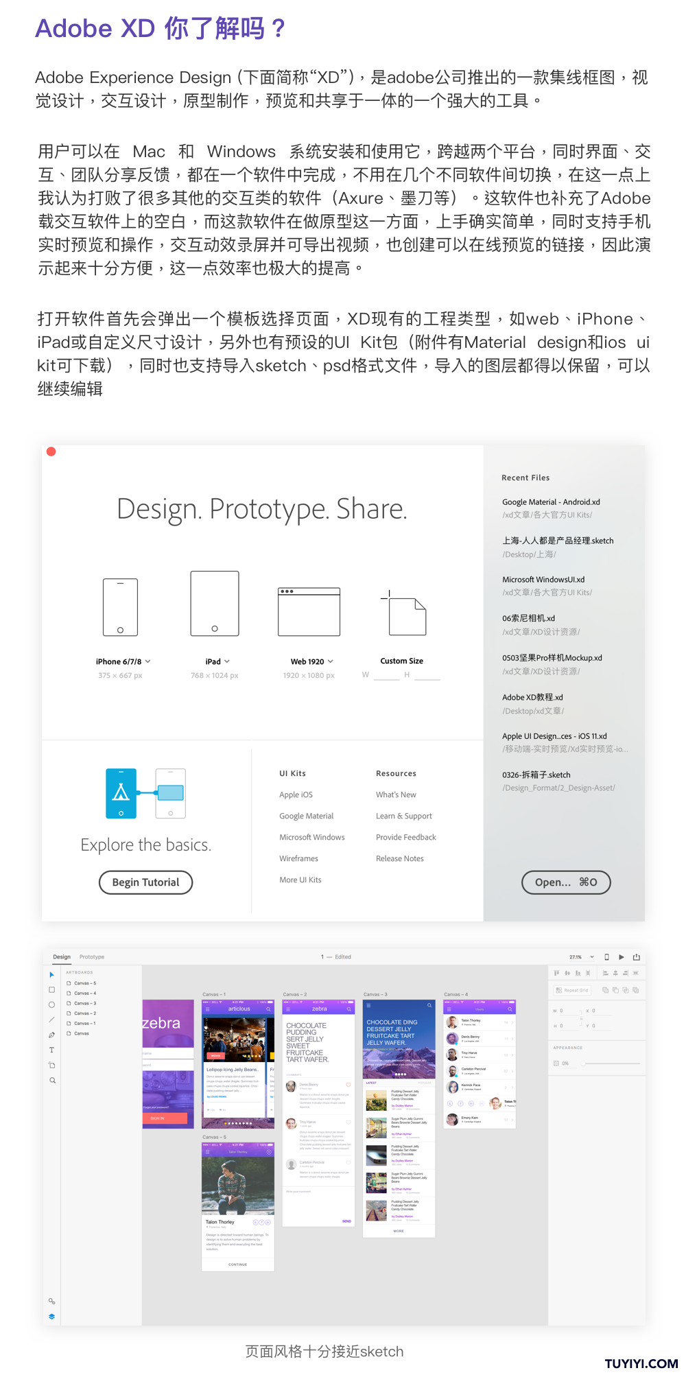 Adobe XD˽