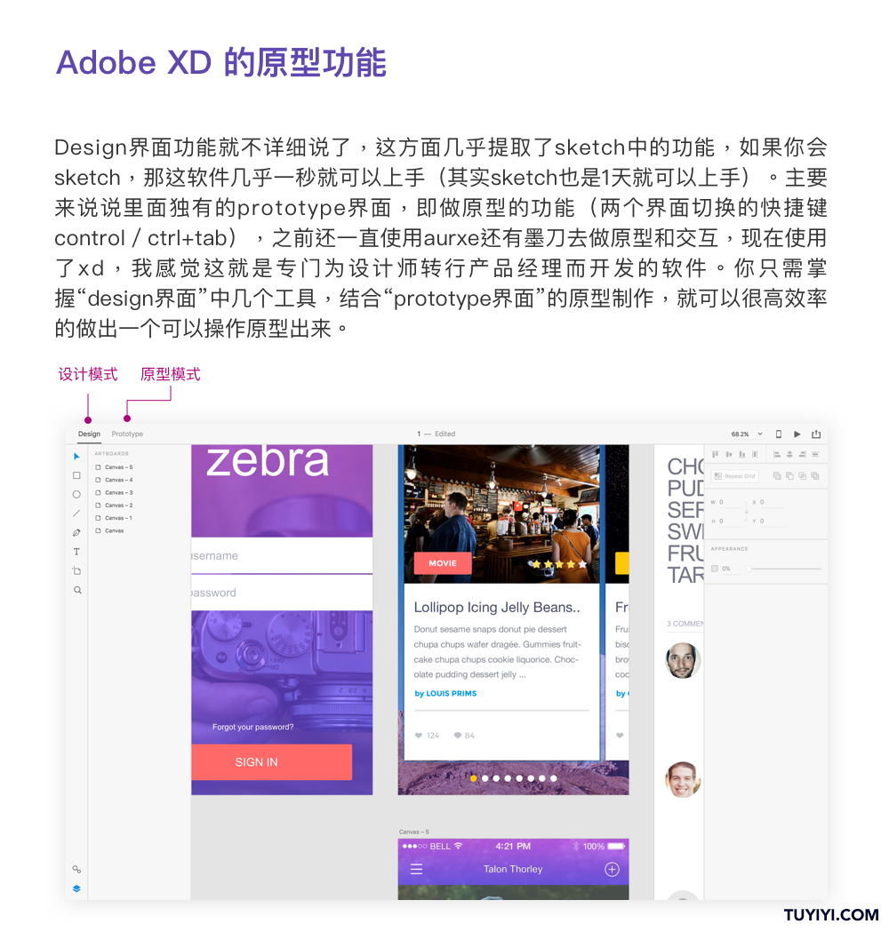 Adobe XD˽