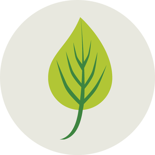 49-ecology-leaf