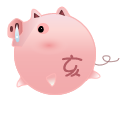 pig