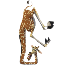 melman¹