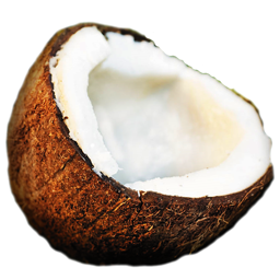 coconut Ҭ