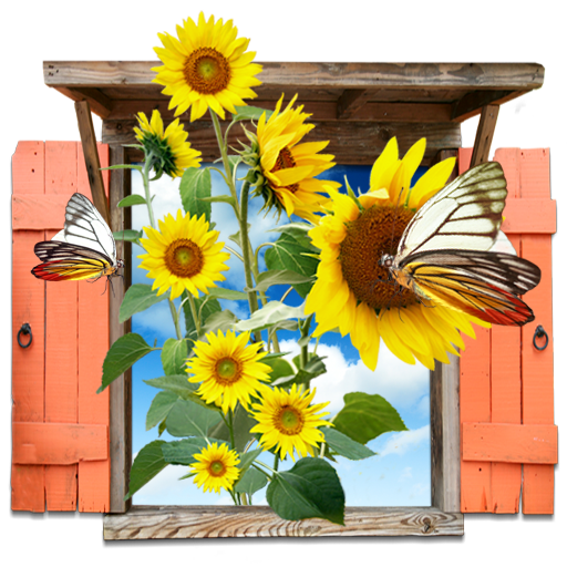 flowers_sunflowers_window տ