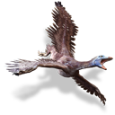 archaeopteryx 