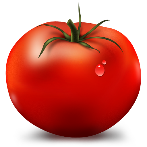 tomato 