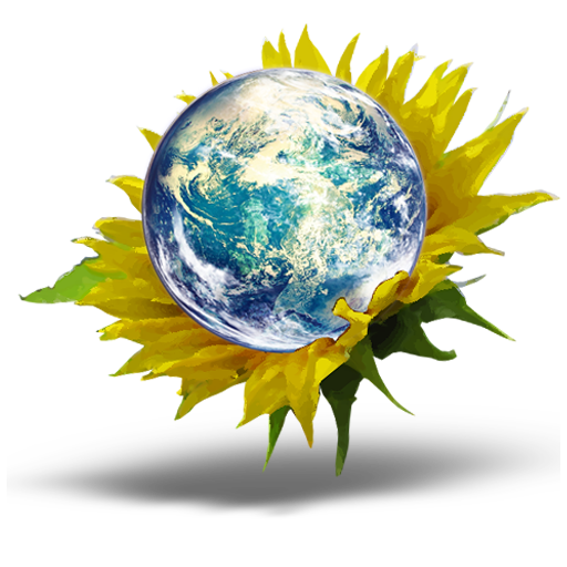 sunflower_earth_02