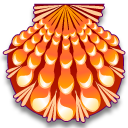 lyropecten_nodosa ȱ