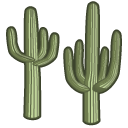 cactus_Saguaro 