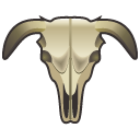 cattle_scull