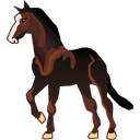 horse_mustang