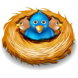 twitter-nest 