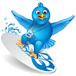 twitter-surfer 