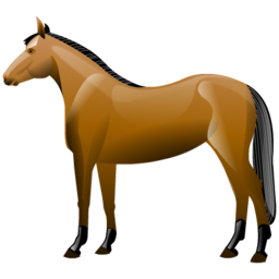 horse 