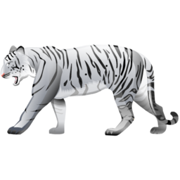 white_tiger ϻ