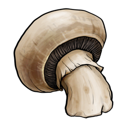 Mushroom Ģ