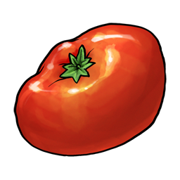 Tomato 