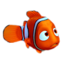 ޹NEMO