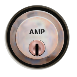 AMP 