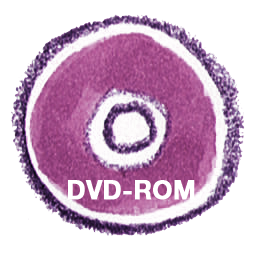 DVD-ROM