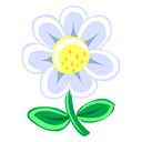 White_Flower ɫ