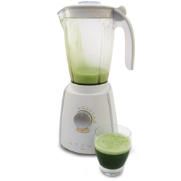 wheatgrass juice liquidizer ݹ֭