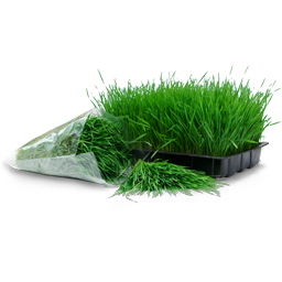 wheatgrass tray  amp  bag 