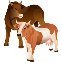 cattle ţ