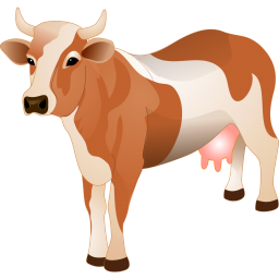 cow ĸţ