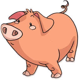 pig 