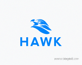 HAWKů˾