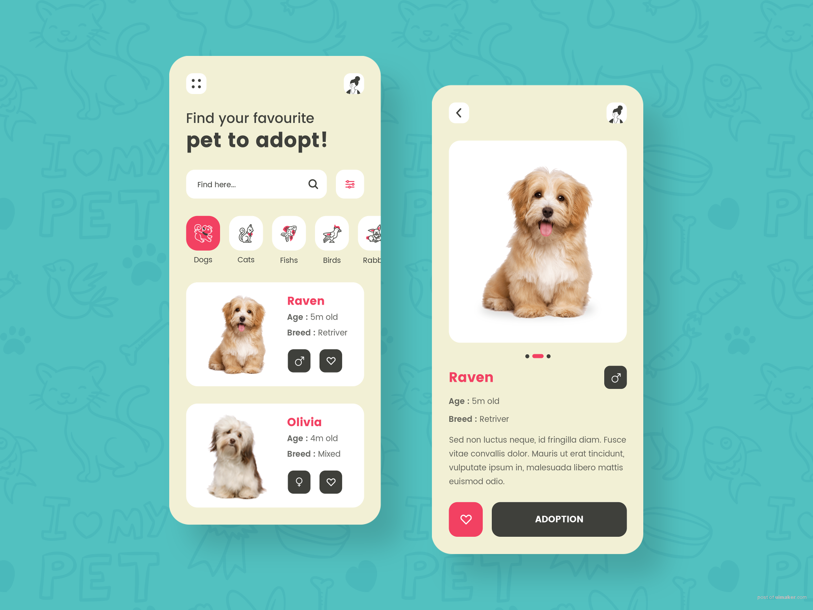 Pet Adoption App Design