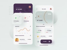 Financial UI Concept app