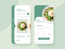 Food Delivery Mobile App UI