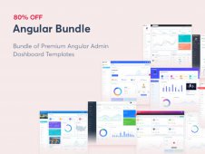 80% Off on Mega Bundle Angular