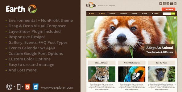 WordPress-13