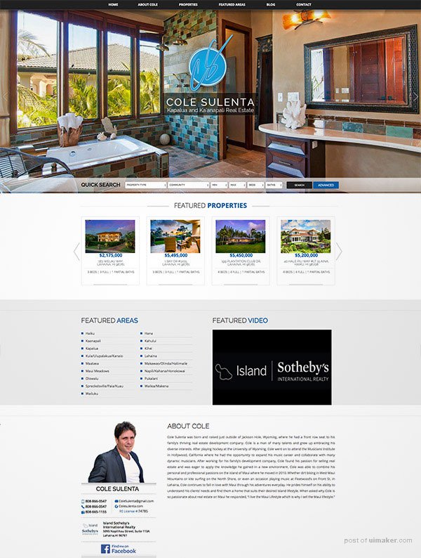 home estate website