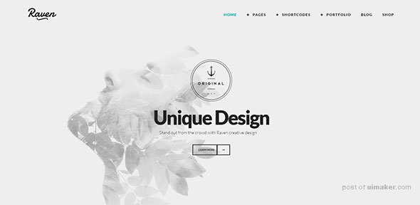 ZK-Raven-C-A-Bold-&-Creative-Minimal-WordPress-Theme