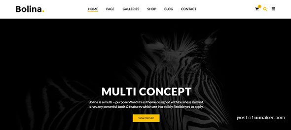 Bolina---Trendy-&-Stylist-WordPress-Theme-Preview