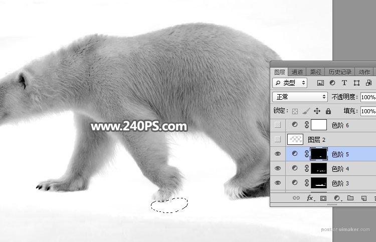 Photoshopͨٳë׵ı