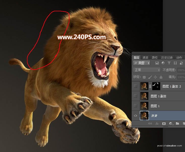 Photoshopͨٳë׵ʨ