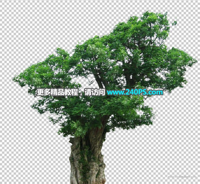 Photoshop合成大气的化妆品宣传海报