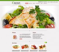 50ƷʵHTML5CSS3