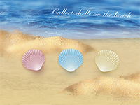 Collect shells on the beach